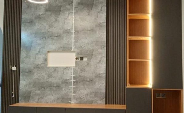 Wall panels and Tv units